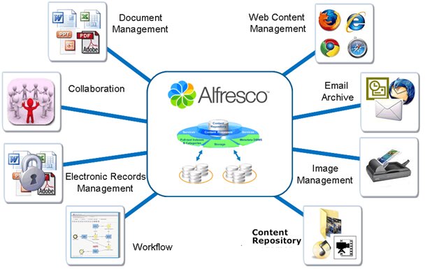 Alfresco ECM development services Laliwala IT Ahmedabad Gujarat India