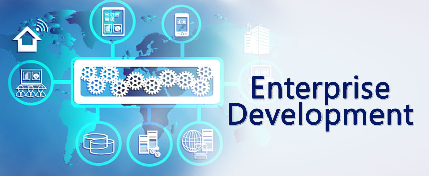 Enterprise Portal Development Services Ahmedabad - Laliwala IT